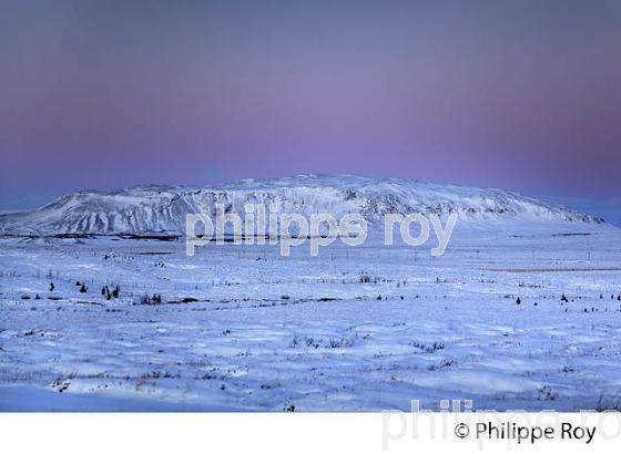 PAYSAGE D' HIVER PRES DE SELFOSS, SUDURLAND, ISLANDE (IS000703.jpg)