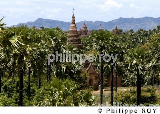 Plaine de Bagan - Birmanie (MM000237.jpg)