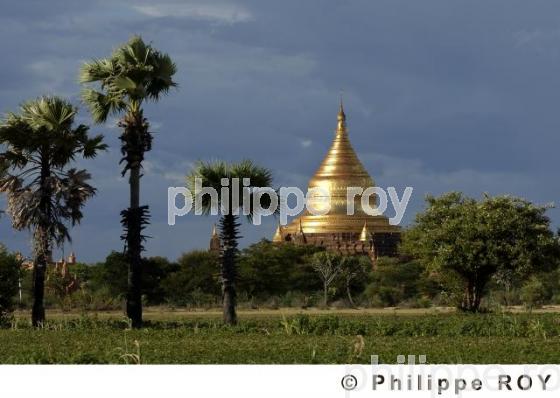 Plaine de Bagan - Birmanie (MM000933.jpg)