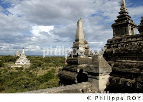 Plaine de Bagan - Birmanie (MM001305.jpg)