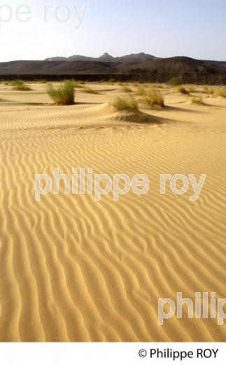 La Mauritanie (MR000122.jpg)