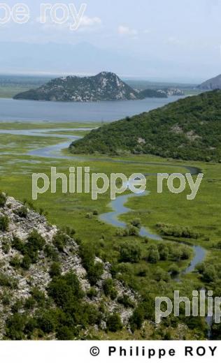 Parc national de Skadarsko Jezero - Montenegro (YU000627.jpg)