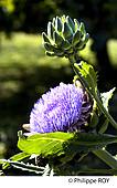 00A05206.jpg