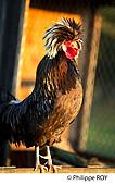 00A05311.jpg