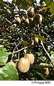00A05334.jpg