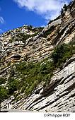 05F00622.jpg