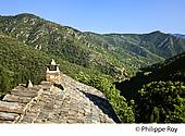 07F00339.jpg