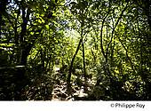 07F00911.jpg