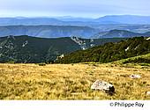 07F01310.jpg
