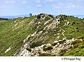 07F01530.jpg