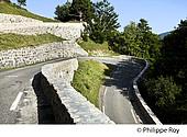 09F00235.jpg