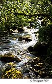 09F00302.jpg