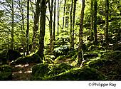 09F00311.jpg