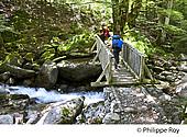 09F00319.jpg