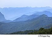 09F00420.jpg