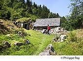 09F00536.jpg