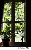 09F01224.jpg