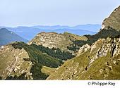 09F01232.jpg