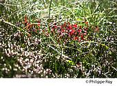 09F01310.jpg