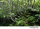 09F01413.jpg