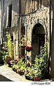 09F02227.jpg