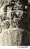 11F00529.jpg