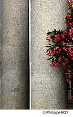 11F00533.jpg