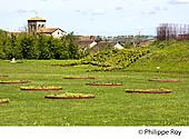 16F00634.jpg