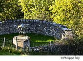 16F01328.jpg