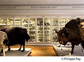 17F06319.jpg