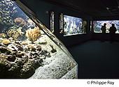 17F06422.jpg