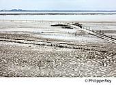 17F07640.jpg
