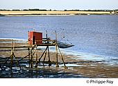 17F07713.jpg
