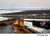 17F08124.jpg