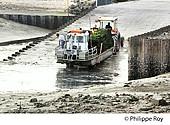 17F08331.jpg