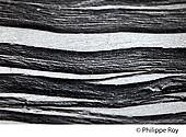 19F00622.jpg