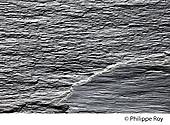 19F00626.jpg