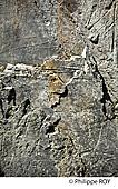 19F00628.jpg