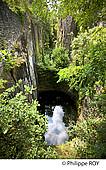 19F00639.jpg