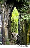 19F00724.jpg