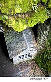 19F00727.jpg