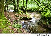 19F01228.jpg