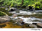 19F01231.jpg