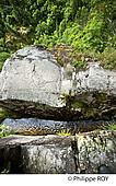 19F02314.jpg