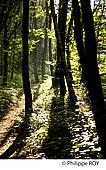 19F02329.jpg