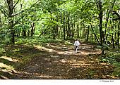 19F02330.jpg