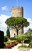 19F03029.jpg