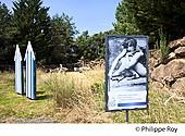 19F03507.jpg
