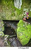 19F03720.jpg