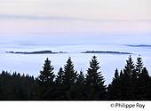 19F03828.jpg